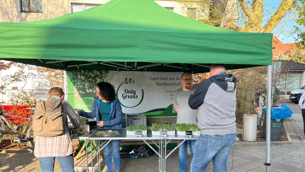 Aufbau des grünen Pavillons beim ersten Marktauftritt mit frischen Microgreens