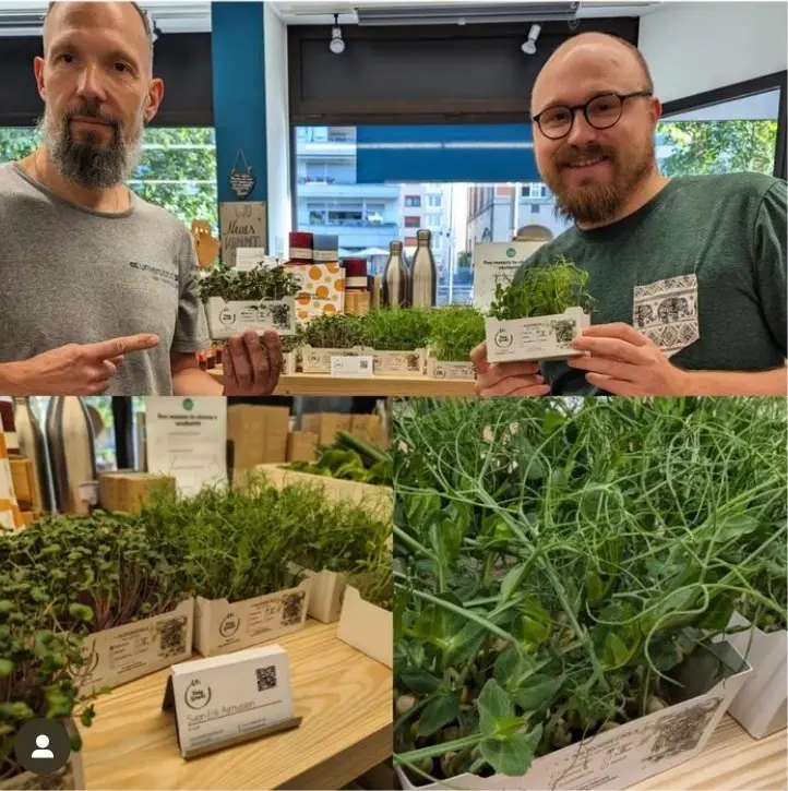 Zwei Mitarbeiter präsentieren Microgreens im ersten Lebensmitteleinzelhandel in Pforzheim