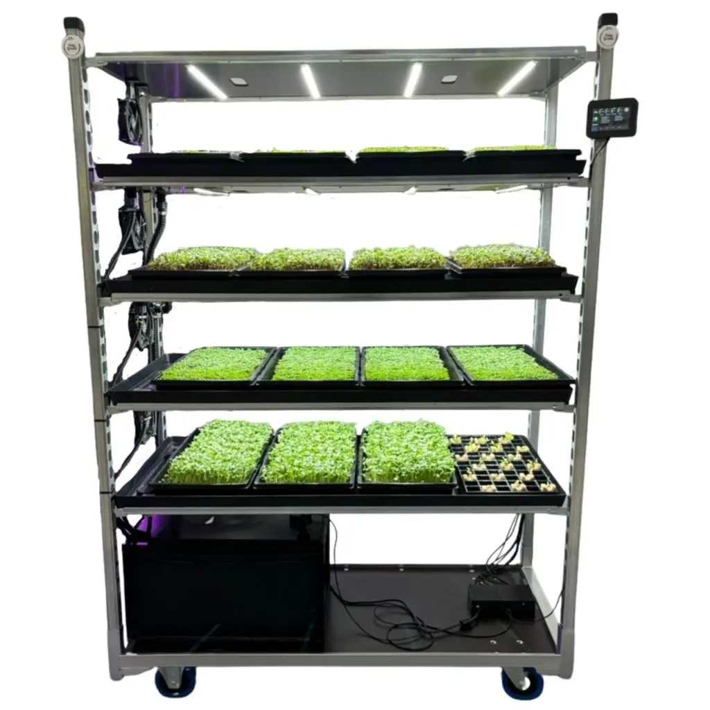 Freigestelltes mobiles Anbauregal mit LED-Leisten und Microgreens-Trays auf Rollen