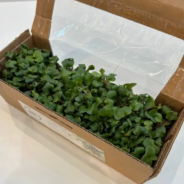 Home OnlyGreens