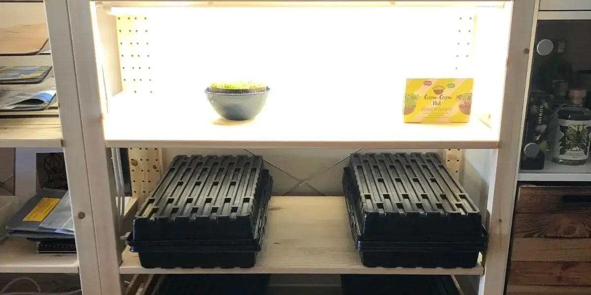 Erste kleine vertikale Farm aus einem IKEA-IVAR-Regal mit Microgreens-Trays und LED-Leisten
