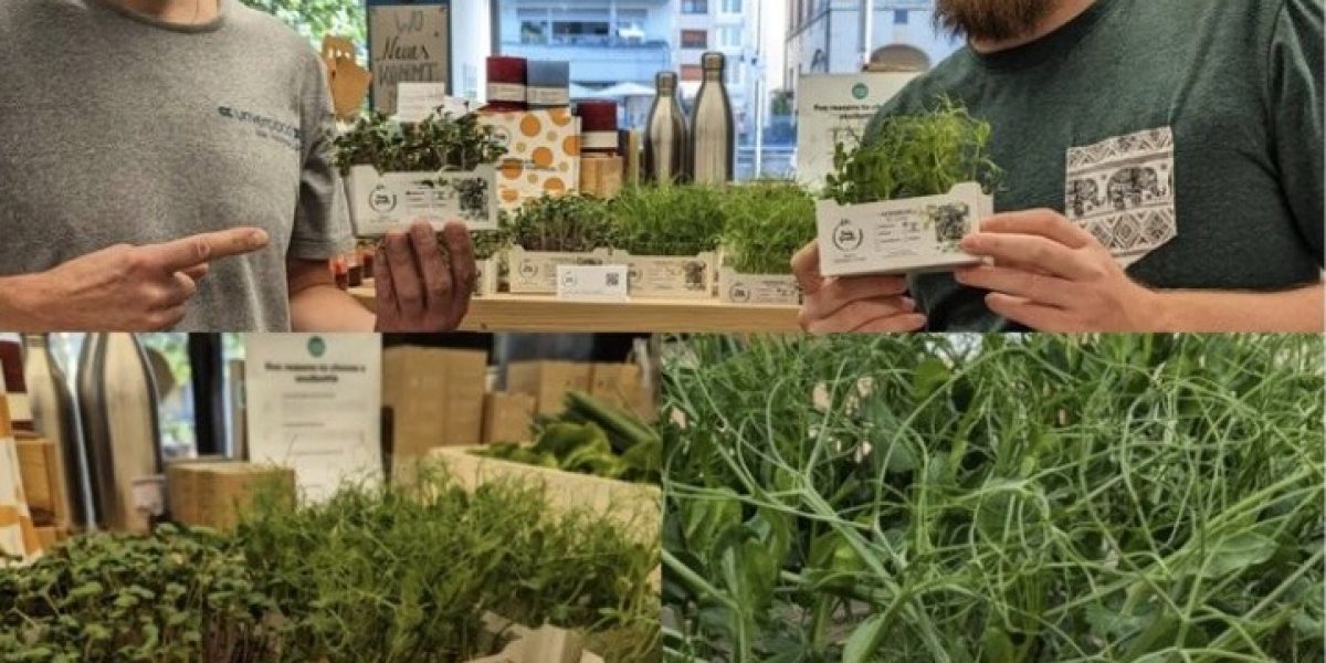 Der_erste_Einzelhandel